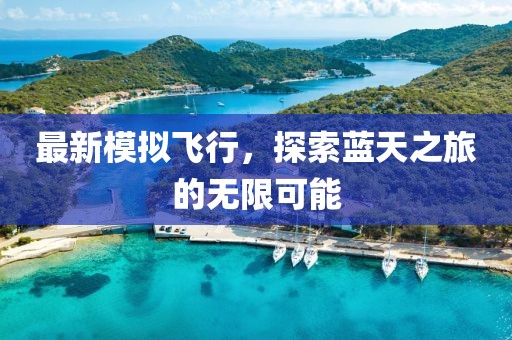 最新模拟飞行，探索蓝天之旅的无限可能