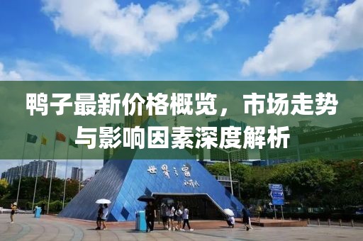 鸭子最新价格概览，市场走势与影响因素深度解析
