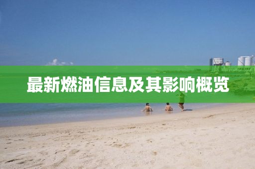 最新燃油信息及其影响概览