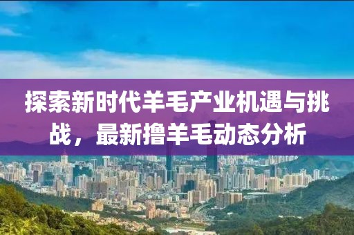 探索新时代羊毛产业机遇与挑战，最新撸羊毛动态分析