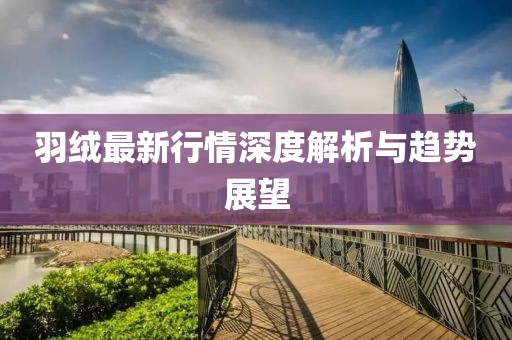 羽绒最新行情深度解析与趋势展望