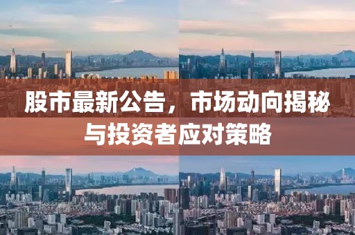 股市最新公告，市场动向揭秘与投资者应对策略
