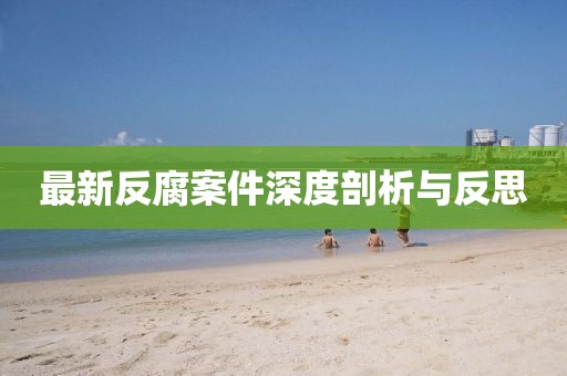 最新反腐案件深度剖析与反思