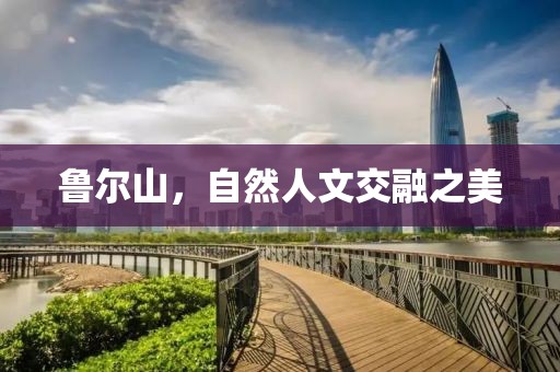 呼延琦巧