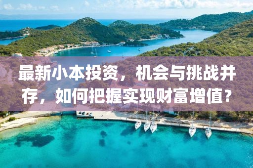 最新小本投资，机会与挑战并存，如何把握实现财富增值？
