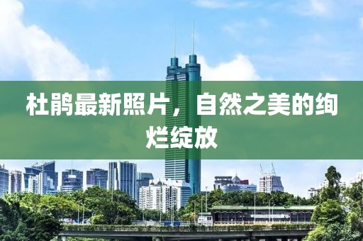 杜鹃最新照片，自然之美的绚烂绽放