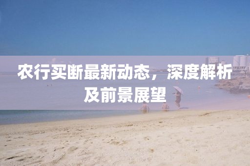 农行买断最新动态，深度解析及前景展望