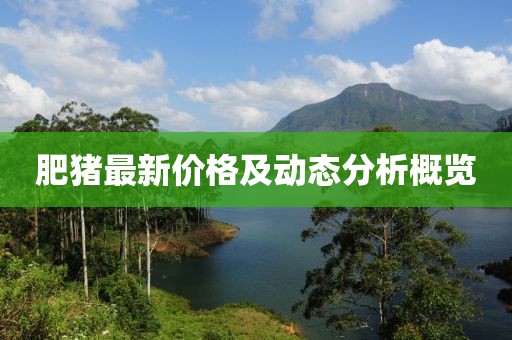 肥猪最新价格及动态分析概览