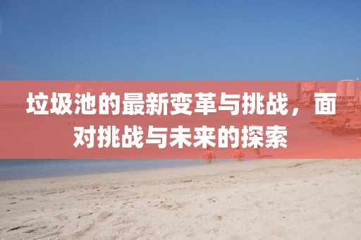 垃圾池的最新变革与挑战，面对挑战与未来的探索