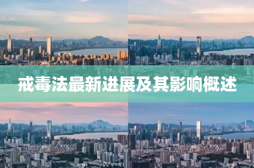 戒毒法最新进展及其影响概述
