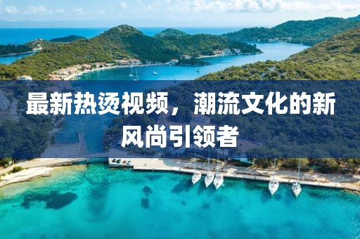 最新热烫视频，潮流文化的新风尚引领者