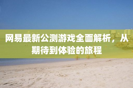网易最新公测游戏全面解析，从期待到体验的旅程