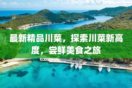 最新精品川菜，探索川菜新高度，尝鲜美食之旅