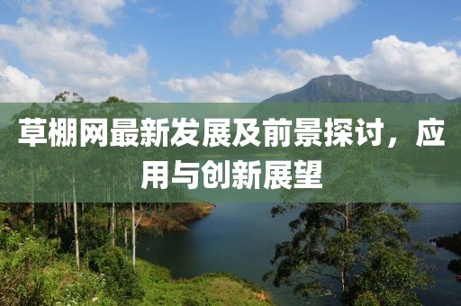 草棚网最新发展及前景探讨，应用与创新展望