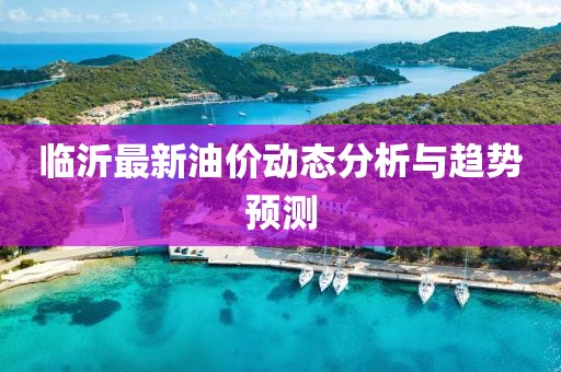 临沂最新油价动态分析与趋势预测