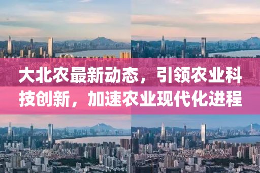大北农最新动态，引领农业科技创新，加速农业现代化进程