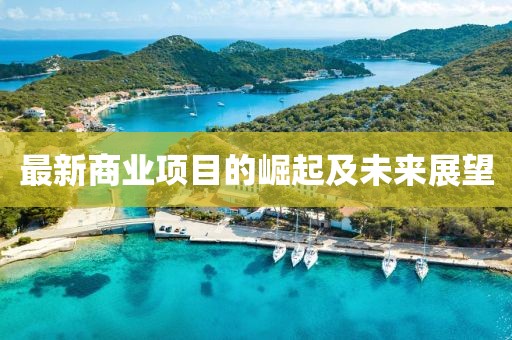 最新商业项目的崛起及未来展望
