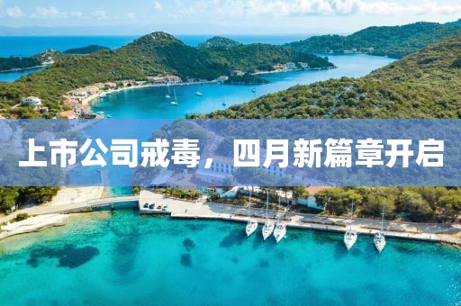 橘虞初梦