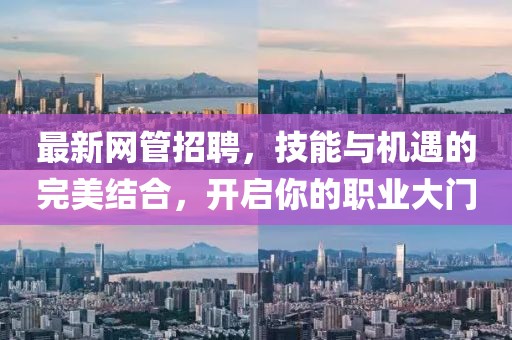 最新网管招聘，技能与机遇的完美结合，开启你的职业大门