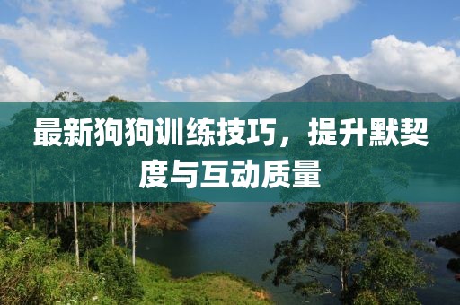 最新狗狗训练技巧，提升默契度与互动质量