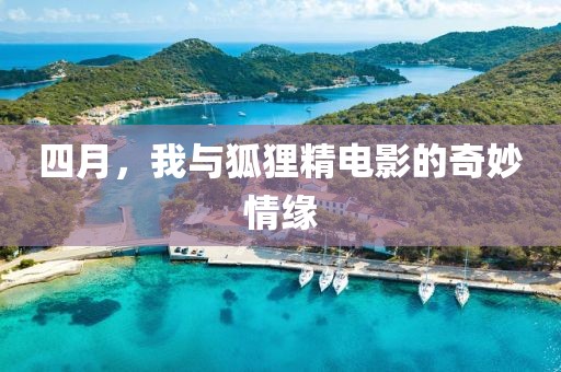 四月，我与狐狸精电影的奇妙情缘