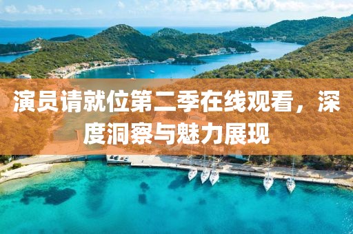 演员请就位第二季在线观看，深度洞察与魅力展现