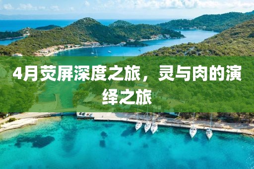 4月荧屏深度之旅，灵与肉的演绎之旅