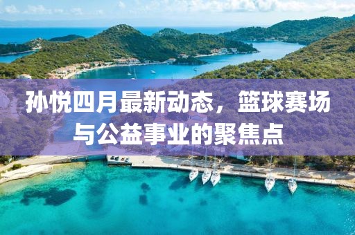孙悦四月最新动态，篮球赛场与公益事业的聚焦点