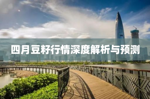 四月豆籽行情深度解析与预测