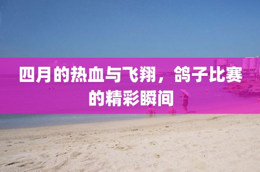 四月的热血与飞翔，鸽子比赛的精彩瞬间