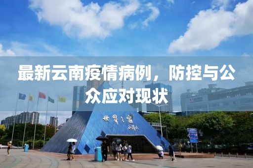 最新云南疫情病例，防控与公众应对现状