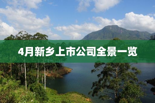 4月新乡上市公司全景一览