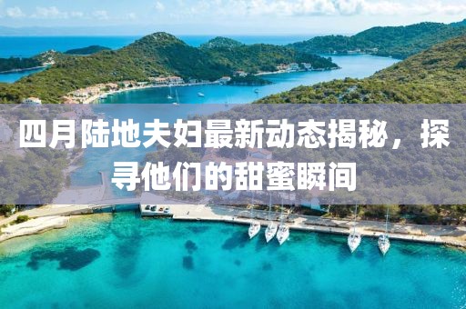 四月陆地夫妇最新动态揭秘，探寻他们的甜蜜瞬间