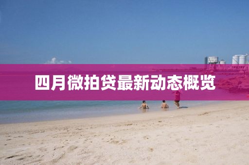 四月微拍贷最新动态概览