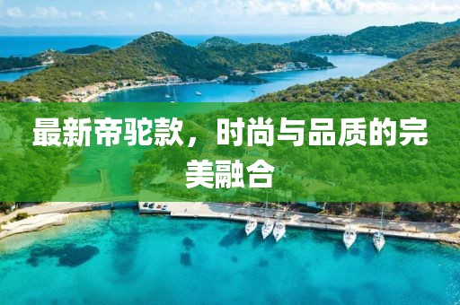 最新帝驼款，时尚与品质的完美融合