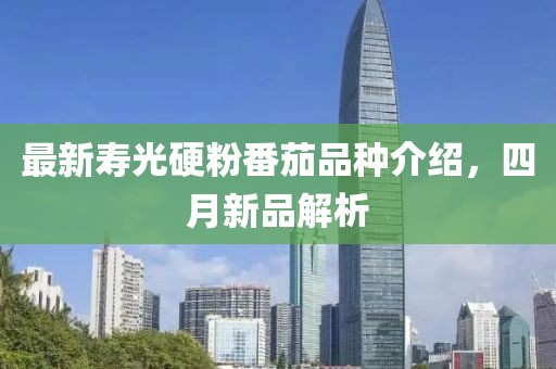 最新寿光硬粉番茄品种介绍，四月新品解析