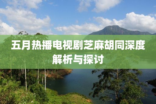 五月热播电视剧芝麻胡同深度解析与探讨