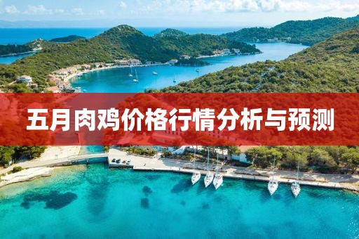 五月肉鸡价格行情分析与预测