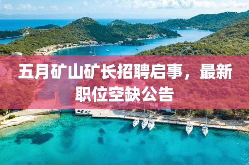 五月矿山矿长招聘启事，最新职位空缺公告