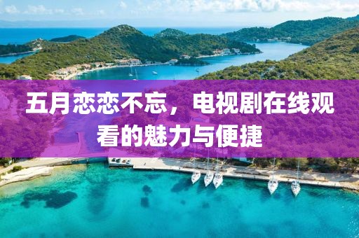 五月恋恋不忘，电视剧在线观看的魅力与便捷