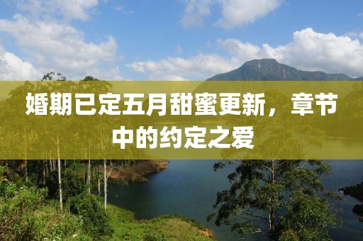 婚期已定五月甜蜜更新，章节中的约定之爱