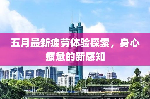 五月最新疲劳体验探索，身心疲惫的新感知
