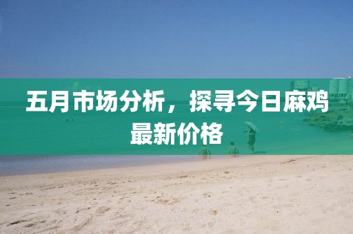 五月市场分析，探寻今日麻鸡最新价格