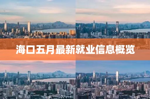 海口五月最新就业信息概览