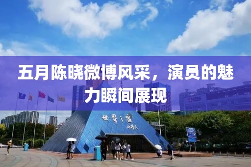 五月陈晓微博风采，演员的魅力瞬间展现