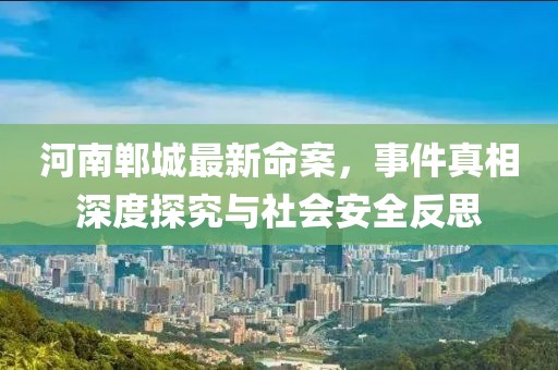 河南郸城最新命案，事件真相深度探究与社会安全反思