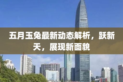 五月玉兔最新动态解析，跃新天，展现新面貌