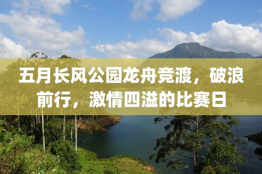 五月长风公园龙舟竞渡，破浪前行，激情四溢的比赛日