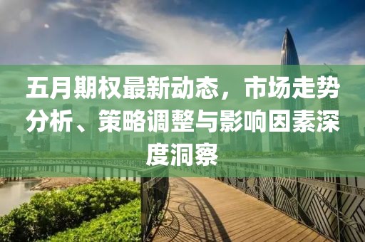 五月期权最新动态，市场走势分析、策略调整与影响因素深度洞察