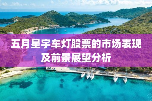 五月星宇车灯股票的市场表现及前景展望分析
